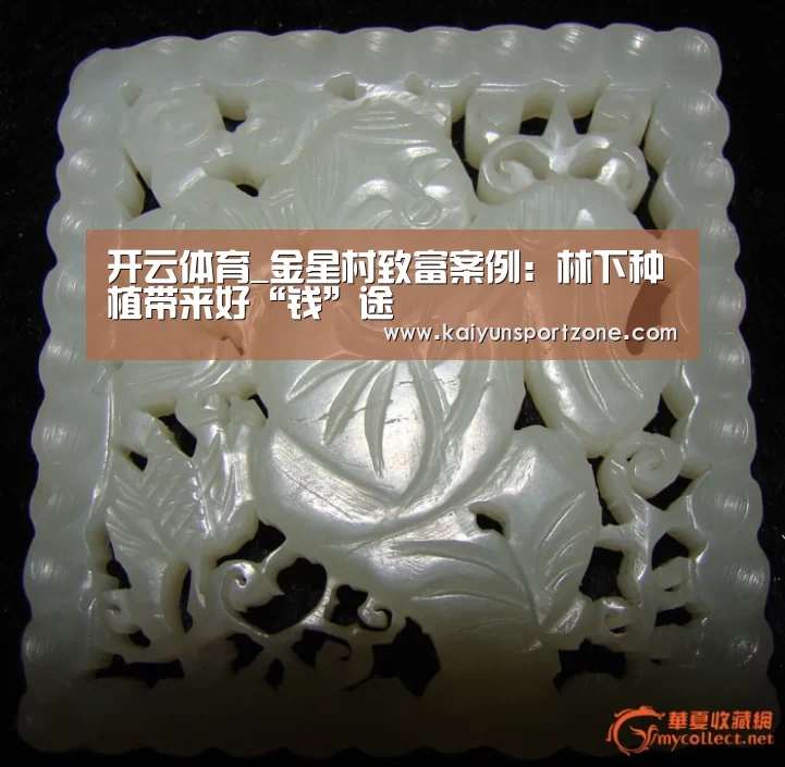开云体育_金星村致富案例:林下种植带来好“钱”途(图2) 开云官方网站