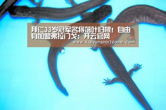 拜仁33岁冠军名将落叶归根!自由身加盟弗拉门戈:开云官网(图1) 开云官方网站