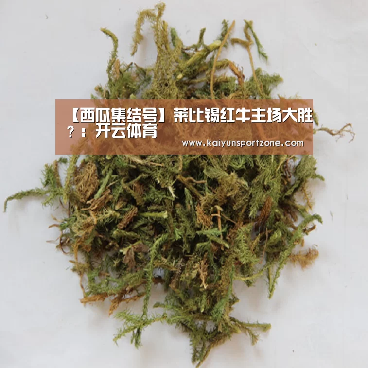 【西瓜集结号】莱比锡红牛主场大胜?:开云体育(图1) 开云官方网站