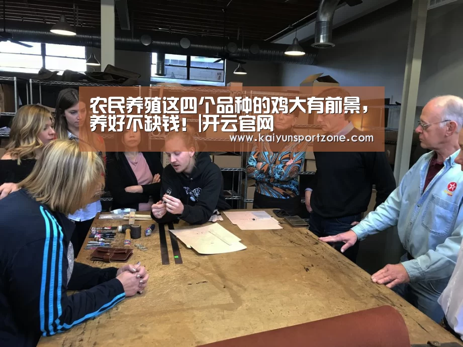 农民养殖这四个品种的鸡大有前景,养好不缺钱!|开云官网(图3) 开云体育