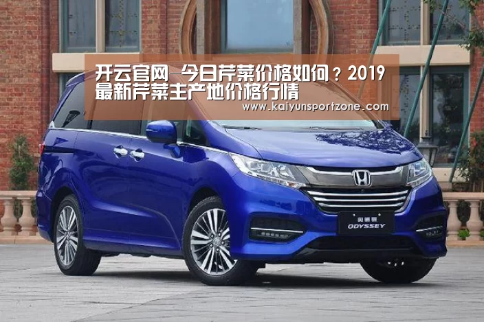 开云官网-今日芹菜价格如何?2019最新芹菜主产地价格行情(图3) 开云官网
