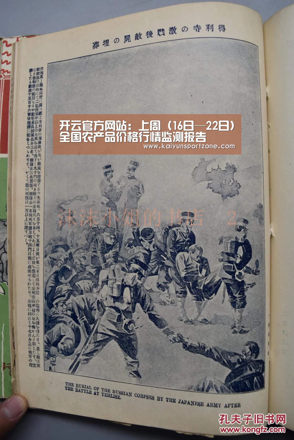 开云官方网站:上周(16日—22日)全国农产品价格行情监测报告(图2) 开云体育