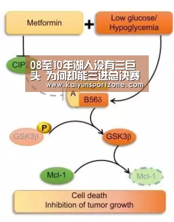 08至10年湖人没有三巨头 为何却能三进总决赛收获两连冠?【开云体育】(图2) 开云体育