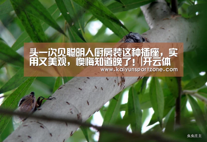 开云