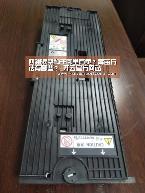 四翅滨藜种子哪里有卖?育苗方法有哪些?_开云官方网站(图3) 开云官方网站