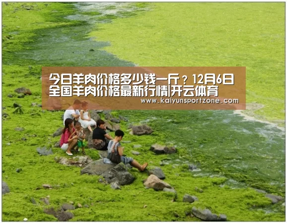 今日羊肉价格多少钱一斤?12月6日全国羊肉价格最新行情|开云体育(图1) 开云体育