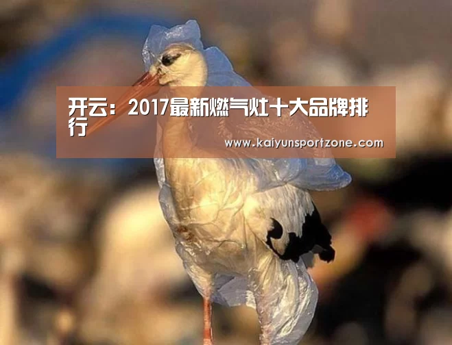 开云:2017最新燃气灶十大品牌排行(图1) 开云