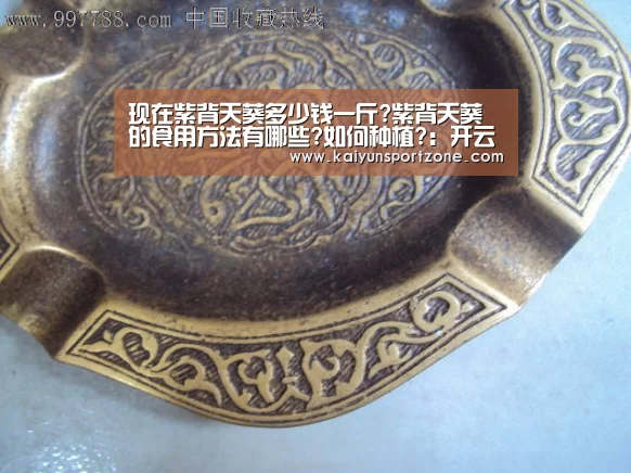 现在紫背天葵多少钱一斤?紫背天葵的食用方法有哪些?如何种植?:开云官方网站(图3) 开云官网