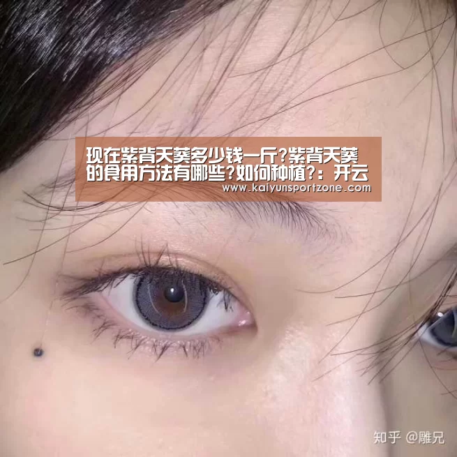 现在紫背天葵多少钱一斤?紫背天葵的食用方法有哪些?如何种植?:开云官方网站(图4) 开云体育