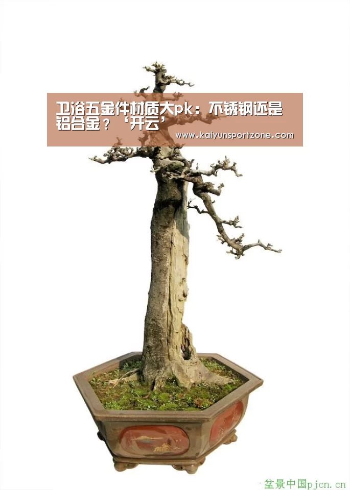 卫浴五金件材质大pk:不锈钢还是铝合金?‘开云’(图2) 开云