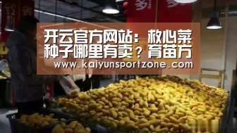 开云官方网站