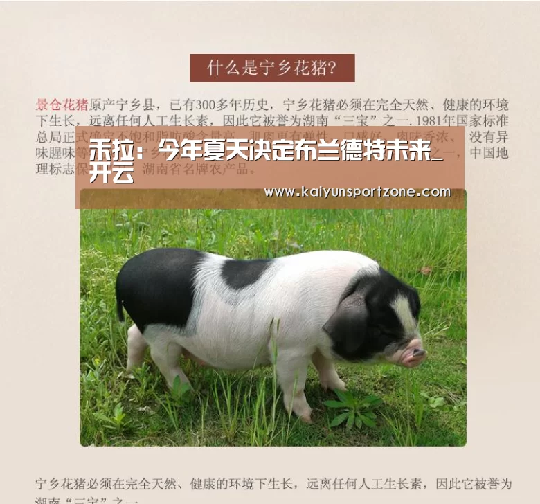 禾拉:今年夏天决定布兰德特未来_开云(图1) 开云官方网站
